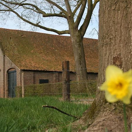 Erfgoedlogies D'Ouffenhoff Hotell Baarlo  Rom bilde