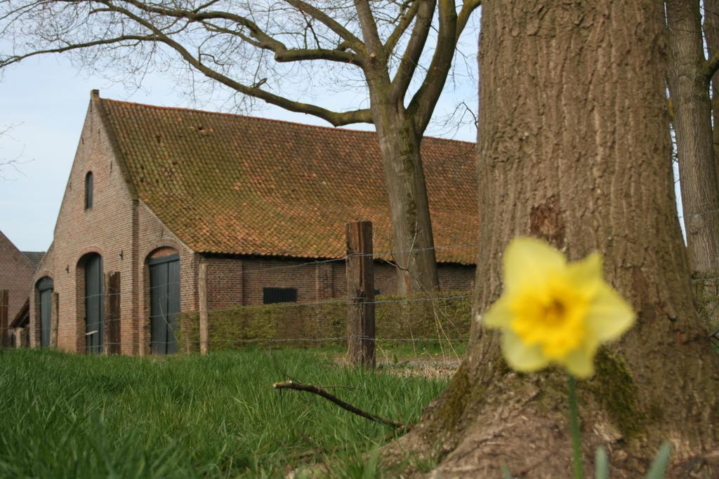 Erfgoedlogies D'Ouffenhoff Hotell Baarlo  Rom bilde